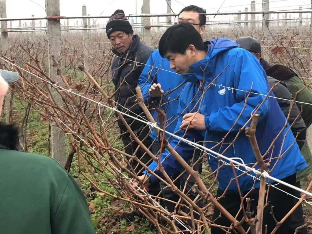 97国际-至尊品牌,源于诺言