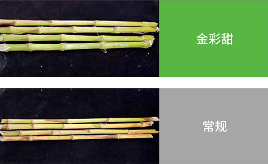 97国际-至尊品牌,源于诺言